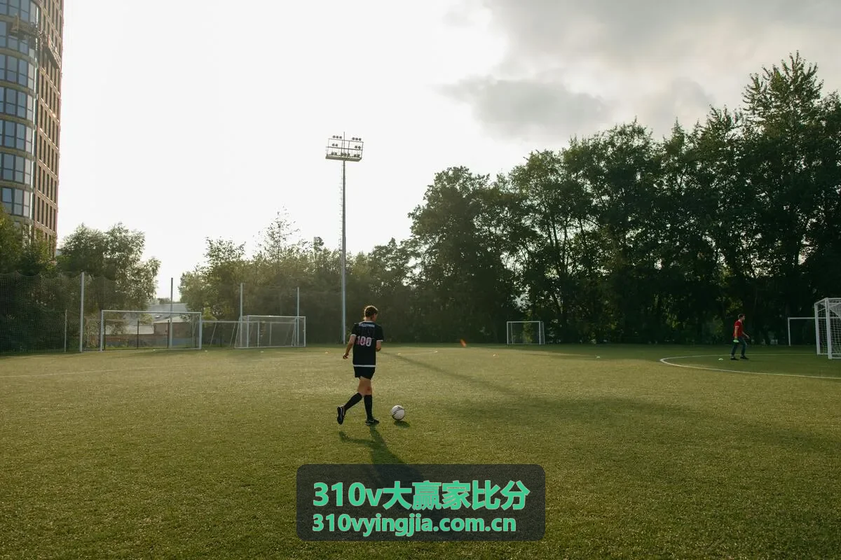 310v大赢家比分数据分析深度统计